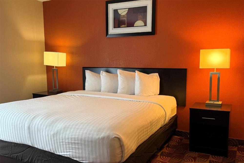 Executive King Suite - Non-Smoking interior